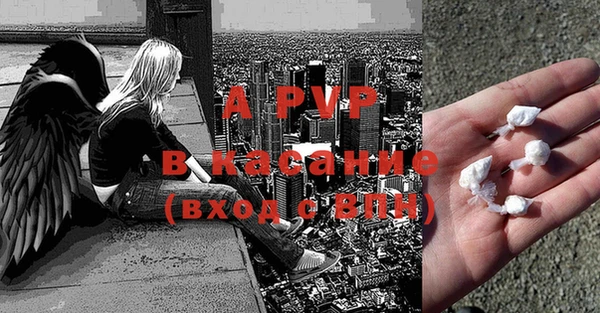 шишки Алексин