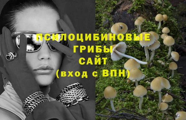 спиды Алзамай