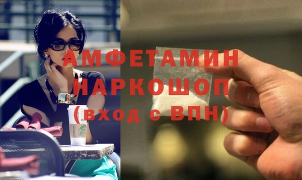 шишки Алексин